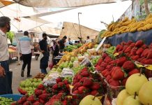 Rengarenk Semt Pazarları Şehrin Kalbi Semt pazarları, şehir hayatının vazgeçilmez parçalarından biridir. Hem ekonomik alışveriş imkânı sunmaları hem de toplumsal bir buluşma noktası olmalarıyla ön plana çıkarlar. Her hafta belirli günlerde kurulan bu pazarlar, şehrin farklı bölgelerindeki insanları bir araya getirir. Tezgâhlarda yer alan taze sebzeler, meyveler, baharatlar ve yerel ürünler, hem damak zevkine hitap eder hem de bölgesel kültürün yaşatılmasına katkı sağlar. Konulu bir haber görseli.